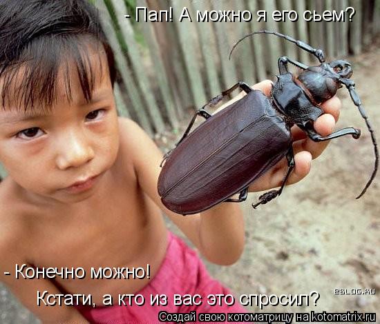 - Пап! А можно я его сьем? - Конечно можно! Кстати, а кто из вас это спросил?... Котоматрица: - Пап! А можно я его сьем? - Конечно можно! Кстати, а кто из вас это спросил?