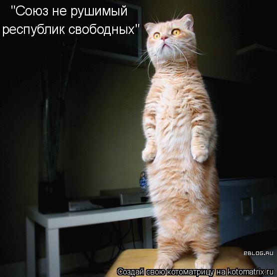 "Союз не рушимый республик свободных"... Котоматрица: "Союз не рушимый республик свободных"