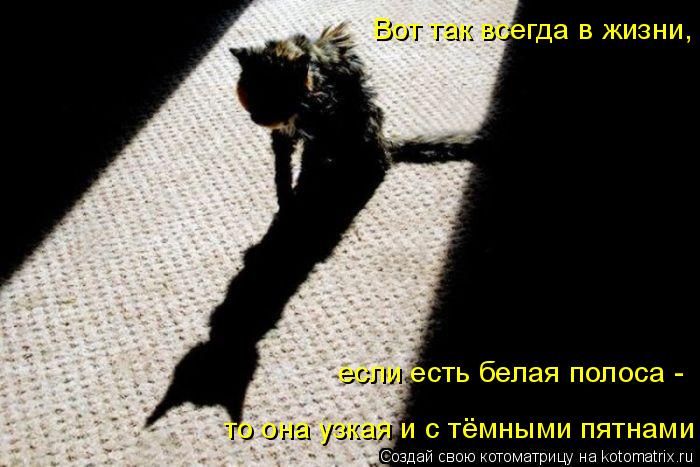 Вот так всегда в жизни, если есть белая полоса - то она узкая и с тёмными пятнами... Котоматрица: Вот так всегда в жизни, если есть белая полоса - то она узкая и с тёмными пятнами
