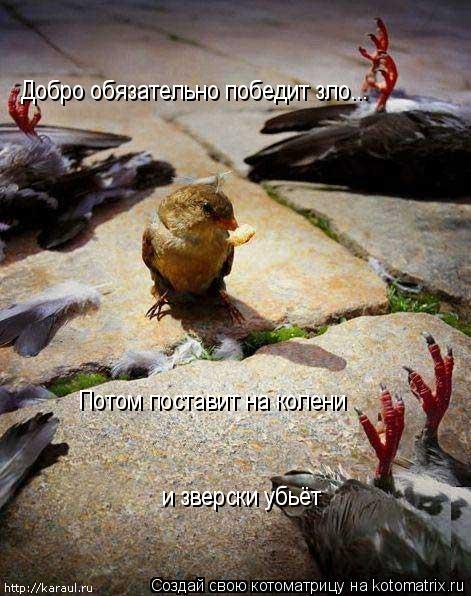 Добро обязательно победит зло... Потом поставит на колени и зверски убьёт... Котоматрица: Добро обязательно победит зло... Потом поставит на колени и зверски убьёт