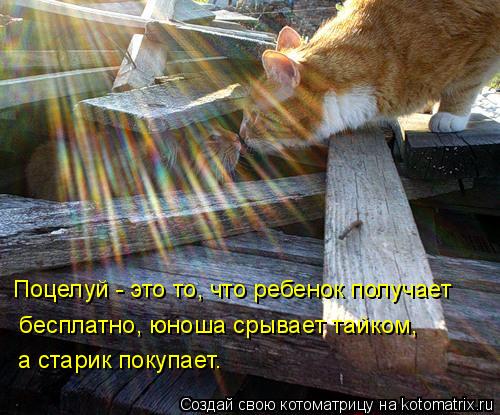 Поцелуй - это то, что ребенок получает бесплатно, юноша срывает тайком, а старик покупает.... Котоматрица: Поцелуй - это то, что ребенок получает бесплатно, юноша срывает тайком, а старик покупает.