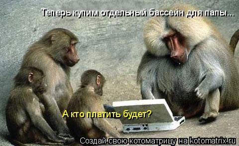 Теперь купим отдельный бассейн для папы... А кто платить будет?... Котоматрица: Теперь купим отдельный бассейн для папы... А кто платить будет?