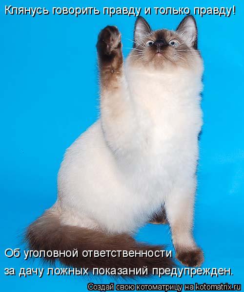 Клянусь говорить правду и только правду! Об уголовной ответственности за дачу ложных показаний преду... Котоматрица: Клянусь говорить правду и только правду! Об уголовной ответственности за дачу ложных показаний предупрежден.