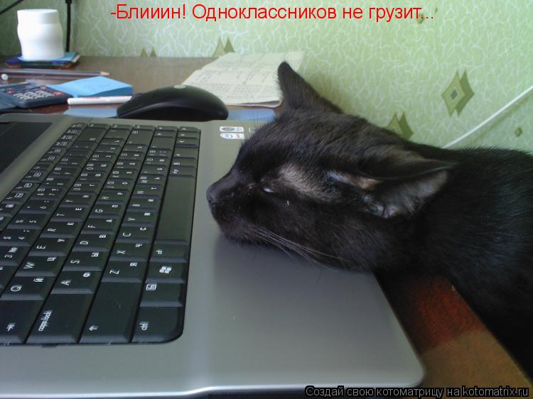 -Блииин! Одноклассников не грузит...... Котоматрица: -Блииин! Одноклассников не грузит...