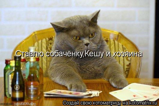 Ставлю собачёнку,Кешу и хозяина... Котоматрица: Ставлю собачёнку,Кешу и хозяина