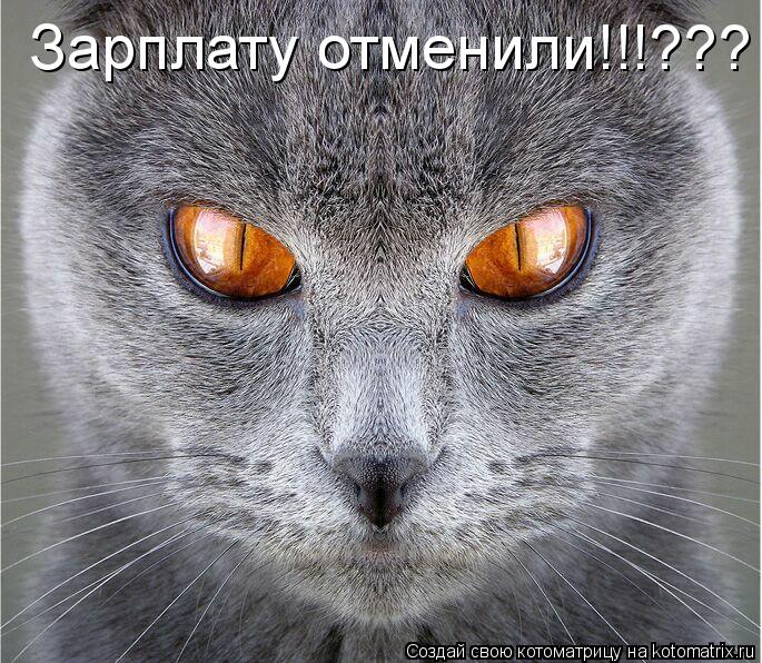 Зарплату отменили!!!???... Котоматрица: Зарплату отменили!!!???