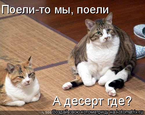 А десерт где? Поели-то мы, поели... Котоматрица: А десерт где? Поели-то мы, поели