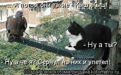 - Ну а ты? - ... А потом они такие - Кыш, Кыш! - Ну а че я? Сернул на них и улетел!... Котоматрица: - Ну а ты? - ... А потом они такие - Кыш, Кыш! - Ну а че я? Сернул на них и улетел!