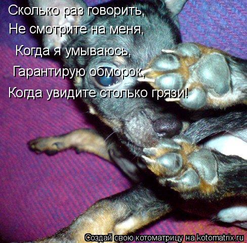 Сколько раз говорить, Не смотрите на меня, Когда я умываюсь, Гарантирую обморок, Когда увидит... Котоматрица: Сколько раз говорить, Не смотрите на меня, Когда я умываюсь, Гарантирую обморок, Когда увидите столько грязи!