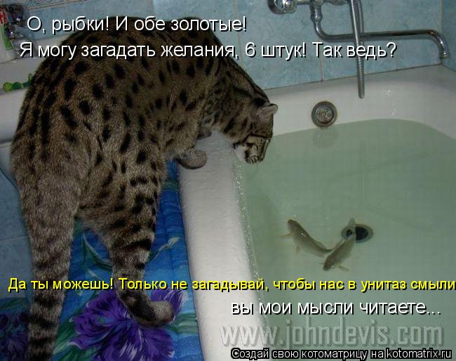О, рыбки! И обе золотые! Я могу загадать желания, 6 штук! Так ведь? Да ты можешь! Только не загадыва... Котоматрица: О, рыбки! И обе золотые! Я могу загадать желания, 6 штук! Так ведь? Да ты можешь! Только не загадывай, чтобы нас в унитаз смыли вы мои мысли чита
