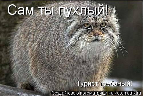 Сам ты пухлый! Турист гребаный!... Котоматрица: Сам ты пухлый! Турист гребаный!