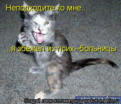 Неподходите ко мне... ...я збежал из псих--больницы... Котоматрица: Неподходите ко мне... ...я збежал из псих--больницы