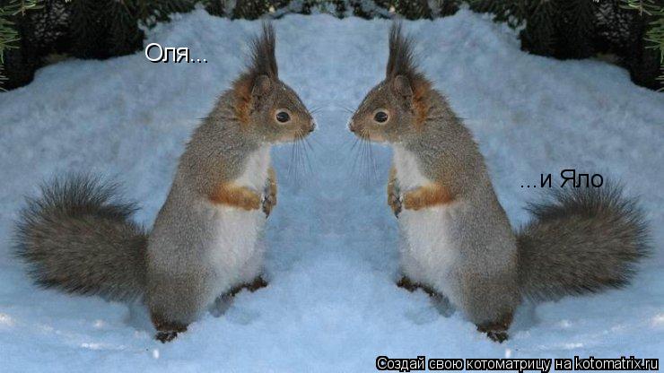 Оля... ...и Яло... Котоматрица: Оля... ...и Яло
