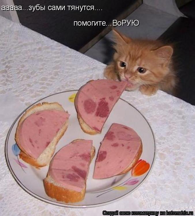 ааааа...зубы сами тянутся.... помогите...ВоРУЮ... Котоматрица: ааааа...зубы сами тянутся.... помогите...ВоРУЮ