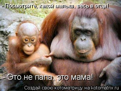 - Это не папа, это мама! - Посмотрите, какой малыш, весь в отца!... Котоматрица: - Это не папа, это мама! - Посмотрите, какой малыш, весь в отца!