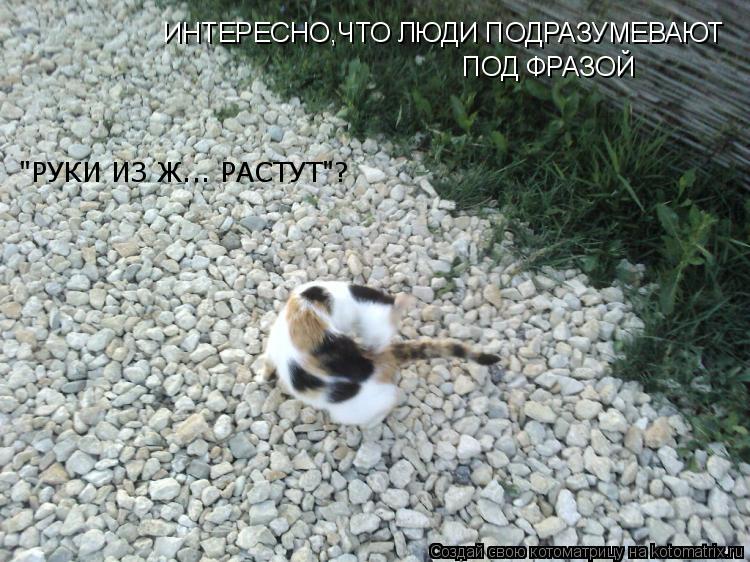 ИНТЕРЕСНО,ЧТО ЛЮДИ ПОДРАЗУМЕВАЮТ ПОД ФРАЗОЙ "РУКИ ИЗ Ж... РАСТУТ"?... Котоматрица: ИНТЕРЕСНО,ЧТО ЛЮДИ ПОДРАЗУМЕВАЮТ ПОД ФРАЗОЙ "РУКИ ИЗ Ж... РАСТУТ"?