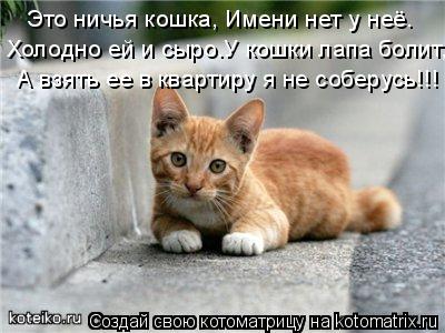 Это ничья кошка, Имени нет у неё. Холодно ей и сыро.У кошки лапа болит, А взять ее в квартиру я не со... Котоматрица: Это ничья кошка, Имени нет у неё. Холодно ей и сыро.У кошки лапа болит, А взять ее в квартиру я не соберусь!!!