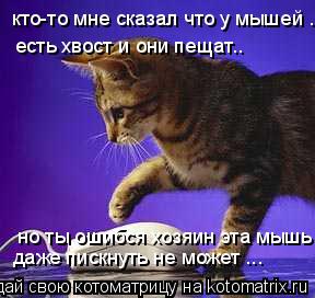 кто-то мне сказал что у мышей .. есть хвост и они пещат.. но ты ошибся хозяин эта мышь даже пискнуть ... Котоматрица: кто-то мне сказал что у мышей .. есть хвост и они пещат.. но ты ошибся хозяин эта мышь даже пискнуть не может ...
