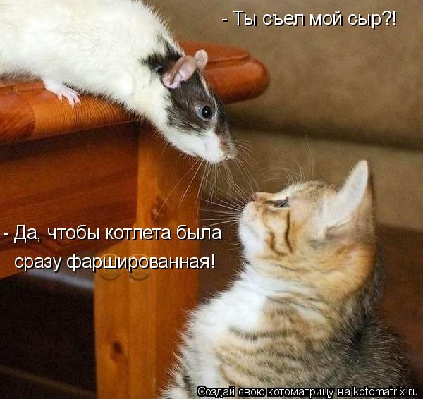- Ты съел мой сыр?! - Да, чтобы котлета была сразу фаршированная!... Котоматрица: - Ты съел мой сыр?! - Да, чтобы котлета была сразу фаршированная!