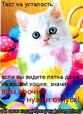 Тест на усталость: если вы видите пятна даже на вашей кошке, значит вам срочно нужен отпуск!... Котоматрица: Тест на усталость: если вы видите пятна даже на вашей кошке, значит вам срочно нужен отпуск!