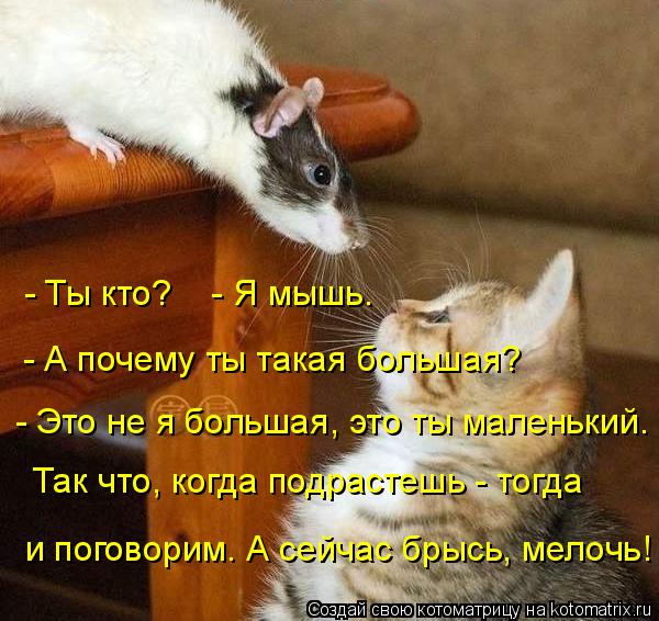 - Ты кто? - Я мышь. - А почему ты такая большая? - Это не я большая, это ты маленький. Так что, ... Котоматрица: - Ты кто? - Я мышь. - А почему ты такая большая? - Это не я большая, это ты маленький. Так что, когда подрастешь - тогда и поговорим. А сейчас б