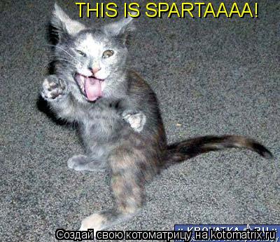THIS IS SPARTAAAA!... Котоматрица: THIS IS SPARTAAAA!
