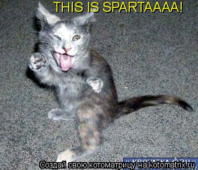 Котоматрица: THIS IS SPARTAAAA!