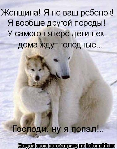 Котоматрица: Женщина! Я не ваш ребенок!  Я вообще другой породы!  У самого пятеро детишек,   дома ждут голодные...   Господи, ну я попал!..