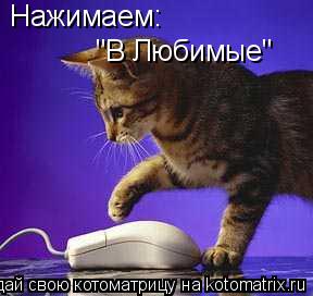 Нажимаем: "В Любимые"... Котоматрица: Нажимаем: "В Любимые"