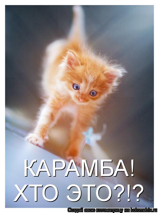 КАРАМБА! ХТО ЭТО?!?... Котоматрица: КАРАМБА! ХТО ЭТО?!?