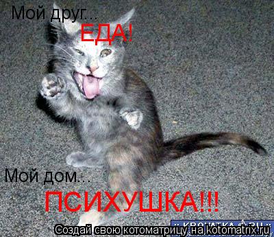 Мой друг... ЕДА! Мой дом... ПСИХУШКА!!!... Котоматрица: Мой друг... ЕДА! Мой дом... ПСИХУШКА!!!