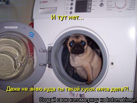 И тут нет... Даже не знаю,куда ты такой кусок мяса дела?!...... Котоматрица: И тут нет... Даже не знаю,куда ты такой кусок мяса дела?!...