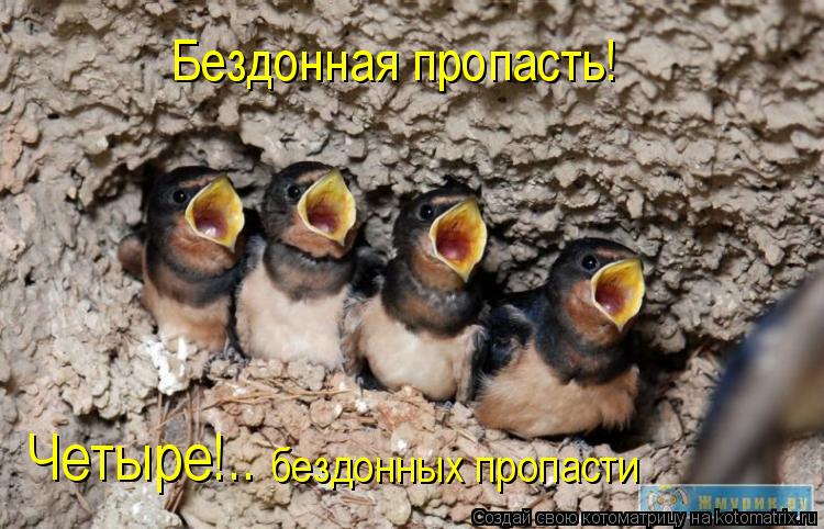 Бездонная пропасть! Четыре!.. бездонных пропасти... Котоматрица: Бездонная пропасть! Четыре!.. бездонных пропасти