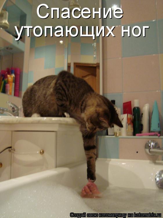Спасение утопающих ног... Котоматрица: Спасение утопающих ног