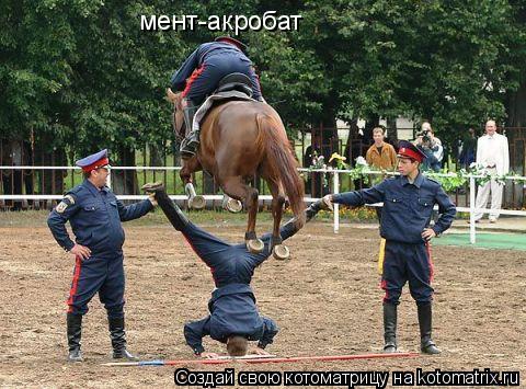 мент-акробат... Котоматрица: мент-акробат