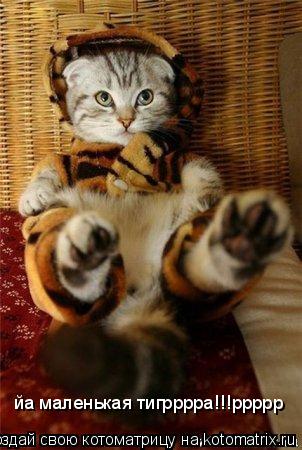 йа маленькая тигрррра!!!ррррр... Котоматрица: йа маленькая тигрррра!!!ррррр