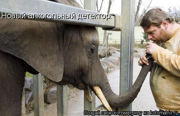 Новый алкогольный детектор.... Котоматрица: Новый алкогольный детектор.