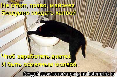 Не стоит, право, майонез Бездумно заедать халвой Чтоб заработать диатез И быть осмеяным молвой.... Котоматрица: Не стоит, право, майонез Бездумно заедать халвой Чтоб заработать диатез И быть осмеяным молвой.