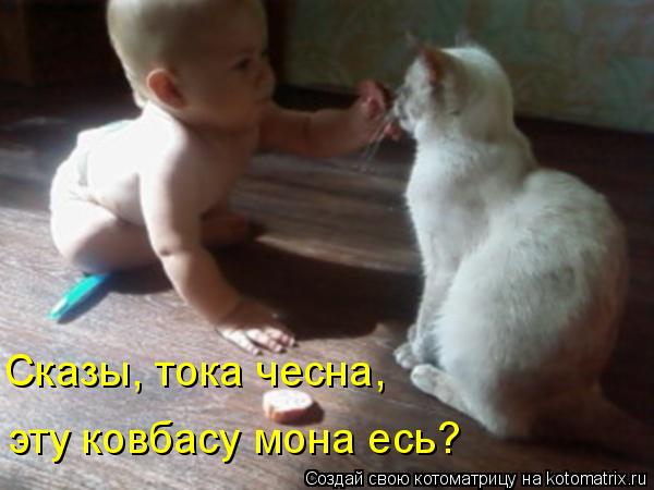 Сказы, тока чесна, эту ковбасу мона есь?... Котоматрица: Сказы, тока чесна, эту ковбасу мона есь?