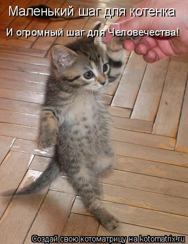 Маленький шаг для котенка И огромный шаг для Человечества!... Котоматрица: Маленький шаг для котенка И огромный шаг для Человечества!