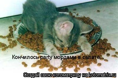 Кончилось party мордами в салате...... Котоматрица: Кончилось party мордами в салате...