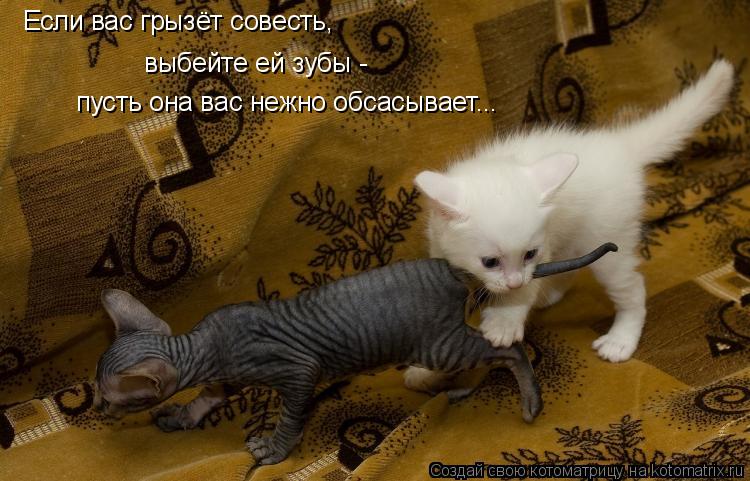 Если вас грызёт совесть, выбейте ей зубы - пусть она вас нежно обсасывает...... Котоматрица: Если вас грызёт совесть, выбейте ей зубы - пусть она вас нежно обсасывает...