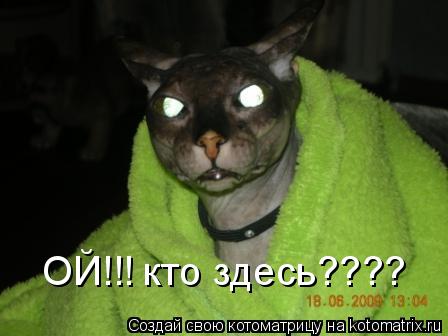 ОЙ!!! кто здесь????... Котоматрица: ОЙ!!! кто здесь????