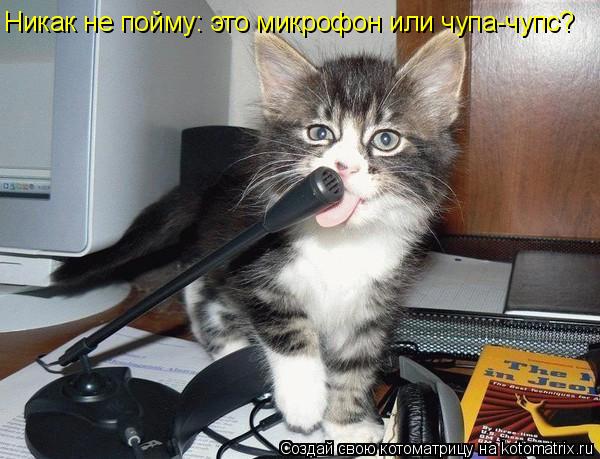 Никак не пойму: это микрофон или чупа-чупс?... Котоматрица: Никак не пойму: это микрофон или чупа-чупс?