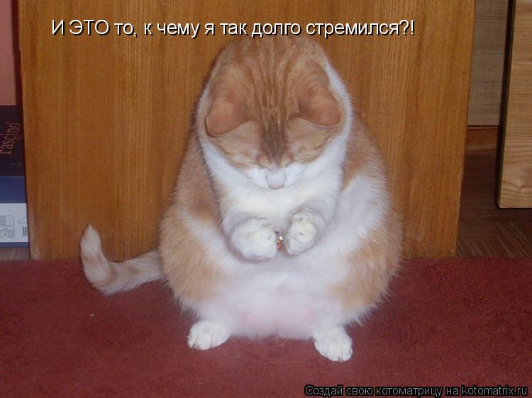И ЭТО то, к чему я так долго стремился?!... Котоматрица: И ЭТО то, к чему я так долго стремился?!