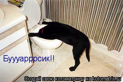 Буууарррсик!!... Котоматрица: Буууарррсик!!
