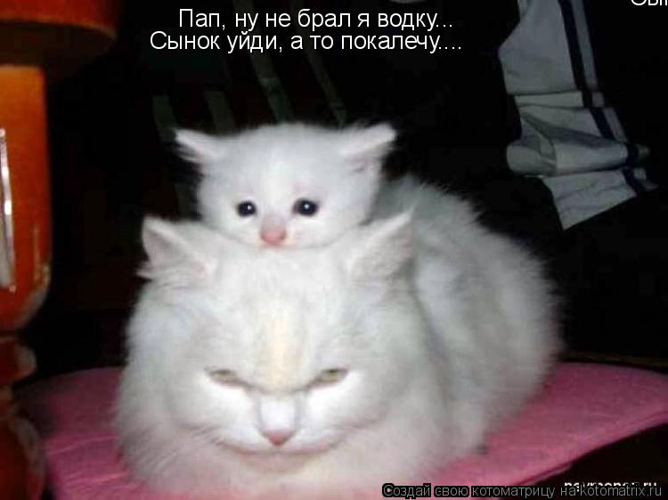 Пап, ну не брал я водку... Сынок уйди, а то покалечу.... Сынок уйди, а то покалечу....... Котоматрица: Пап, ну не брал я водку... Сынок уйди, а то покалечу.... Сынок уйди, а то покалечу....