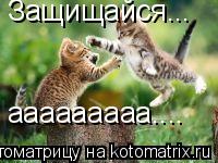 Защищайся... ааааааааа....... Котоматрица: Защищайся... ааааааааа....