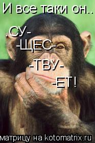 И все таки он.. .СУ- -ТВУ- -ЩЕС- -ЕТ!... Котоматрица: И все таки он.. .СУ- -ТВУ- -ЩЕС- -ЕТ!