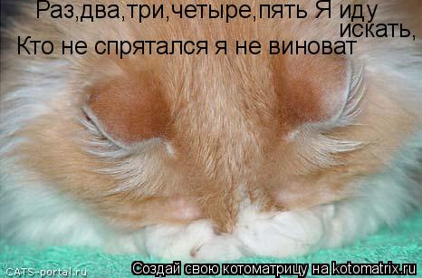 Раз,два,три,четыре,пять Я иду искать, Кто не спрятался я не виноват... Котоматрица: Раз,два,три,четыре,пять Я иду искать, Кто не спрятался я не виноват